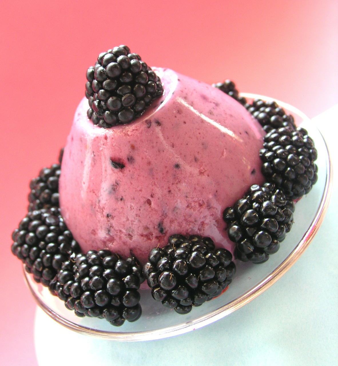 szederkrém blackberry pudding free photo