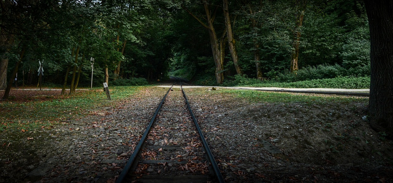 szilvasvarad railway forest free photo