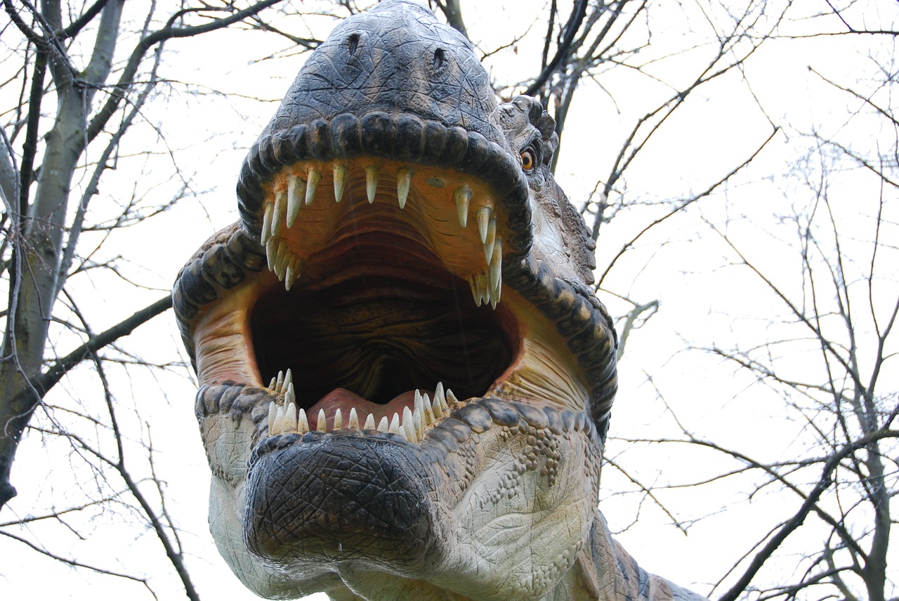 t-rex dinosaur teeth free photo