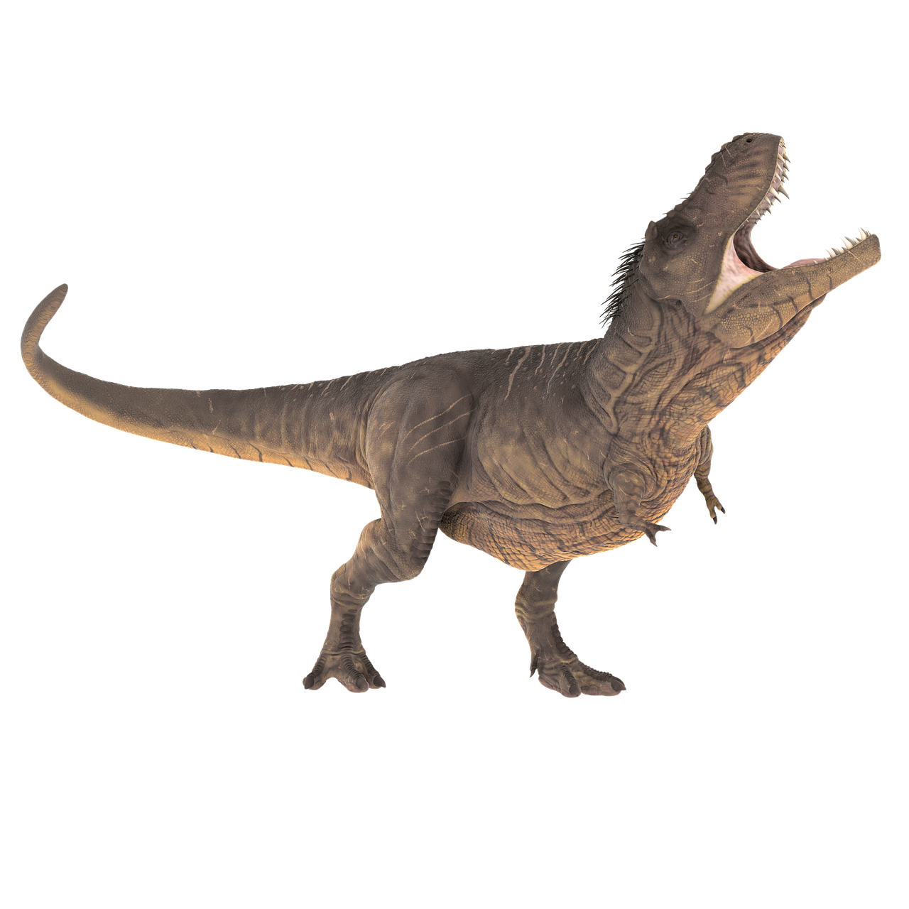 t-rex prehistoric dinosaur free photo