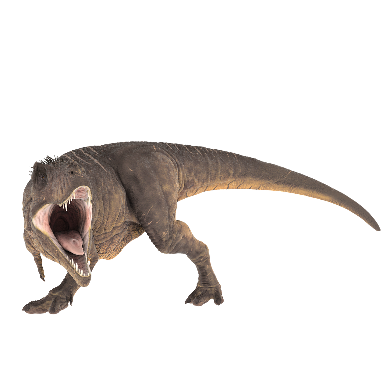 t-rex prehistoric jurassic free photo