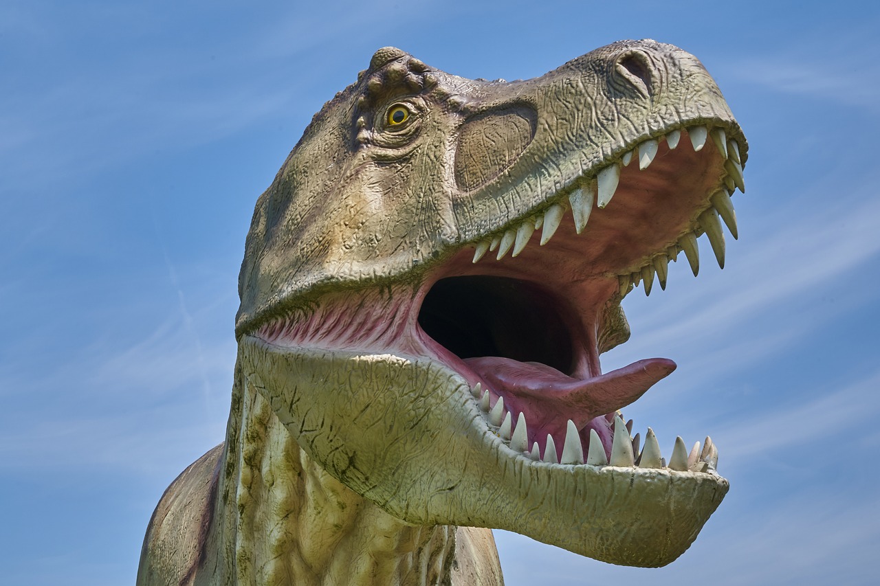 t rex  dinosaur  model free photo