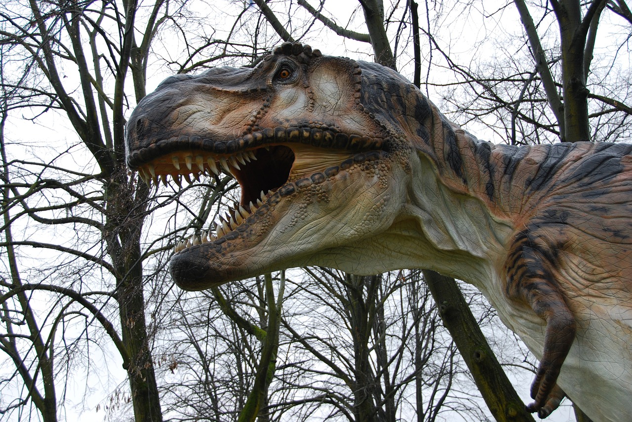t-rex dinosaurs teeth free photo