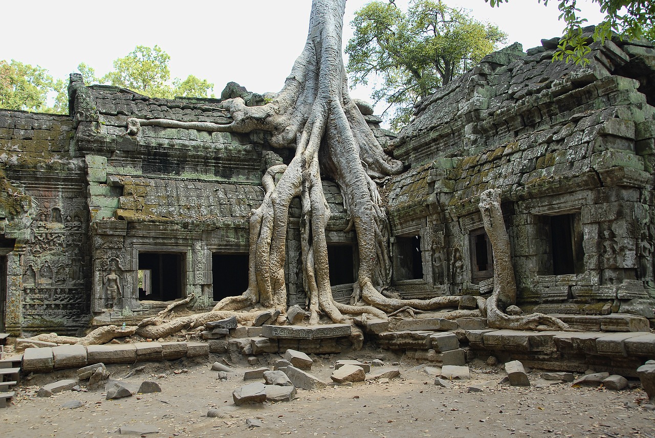 ta prohm cambodia angkor free photo