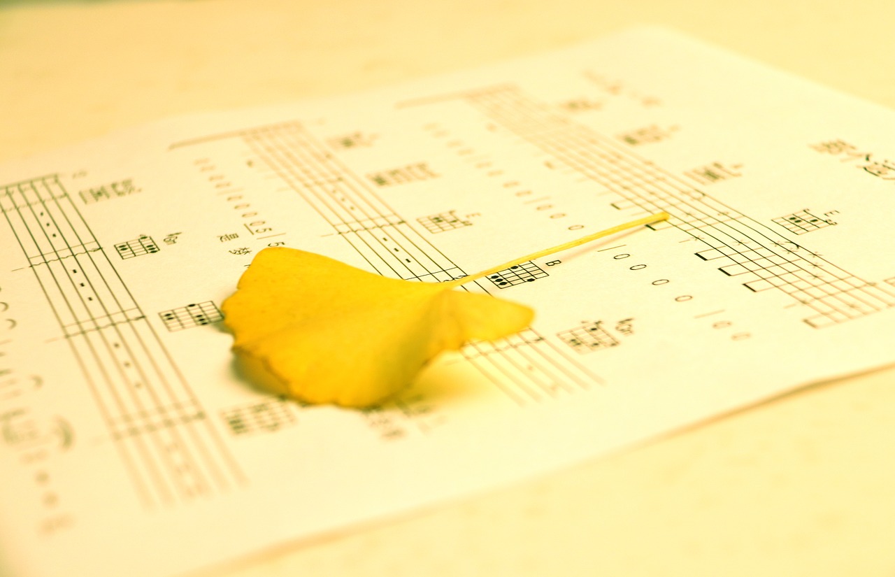 tablature ginkgo biloba warm free photo