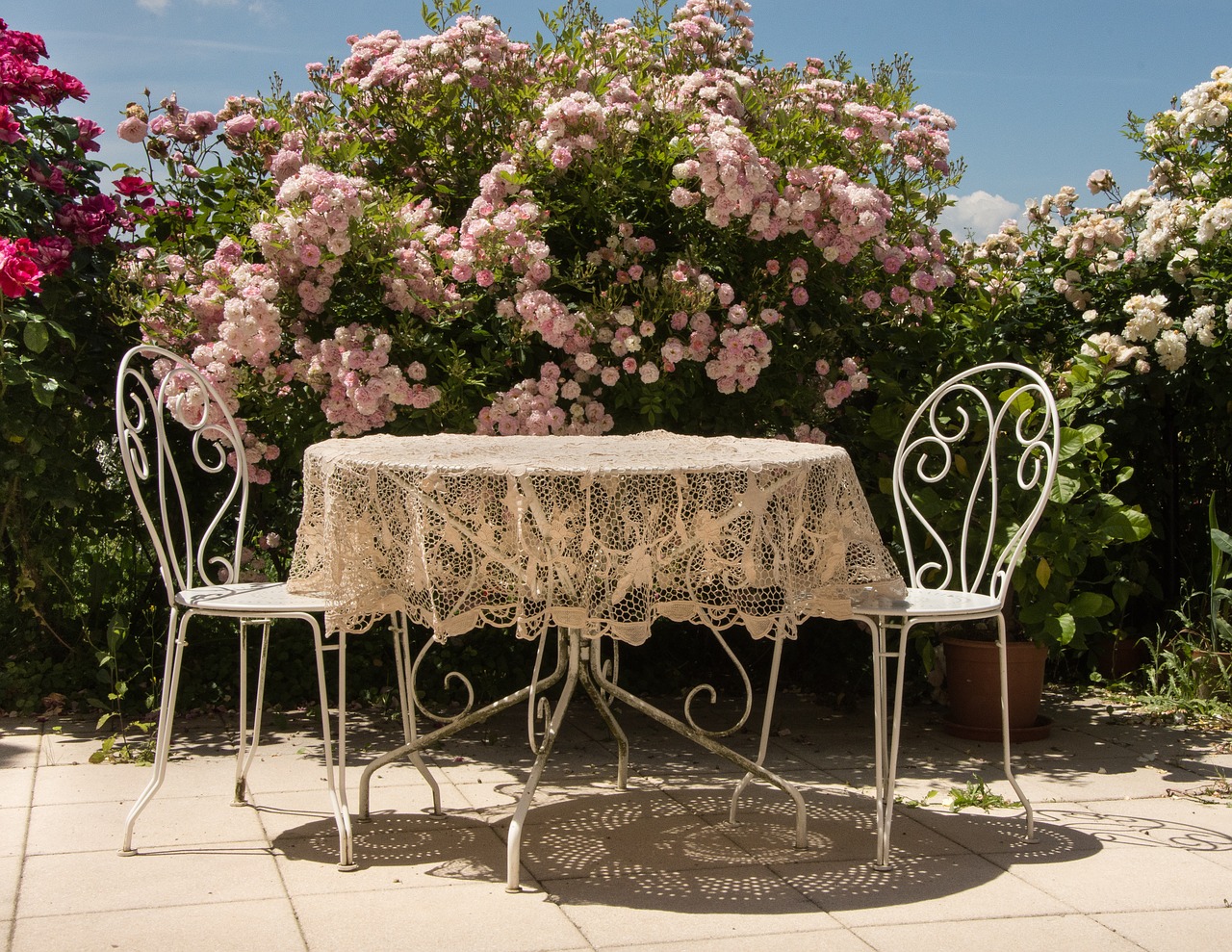 table summer roses free photo