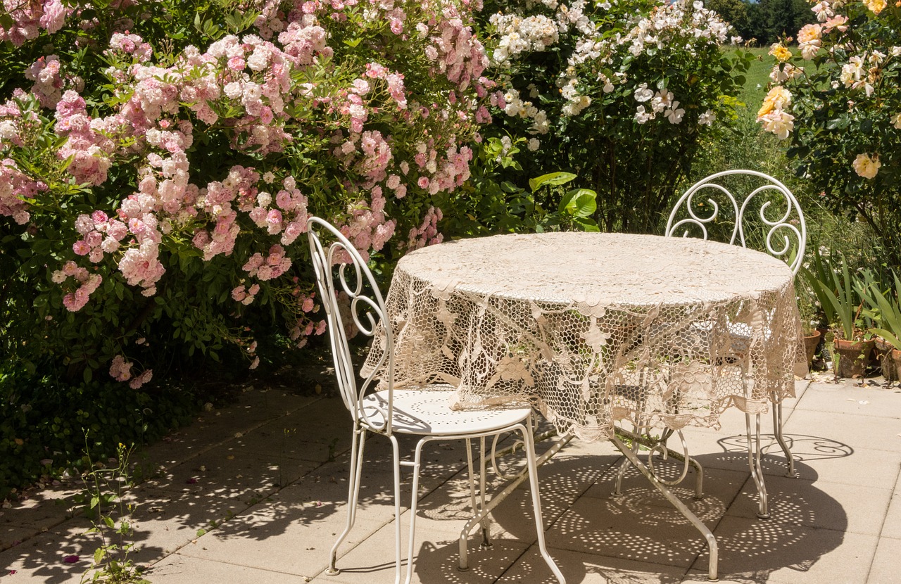 table summer roses free photo