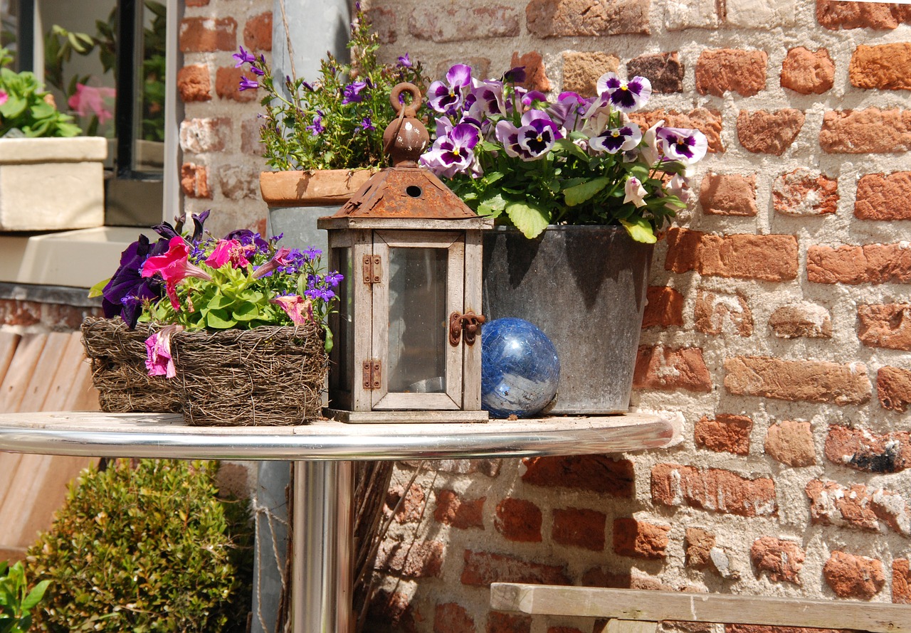 table plant flower free photo