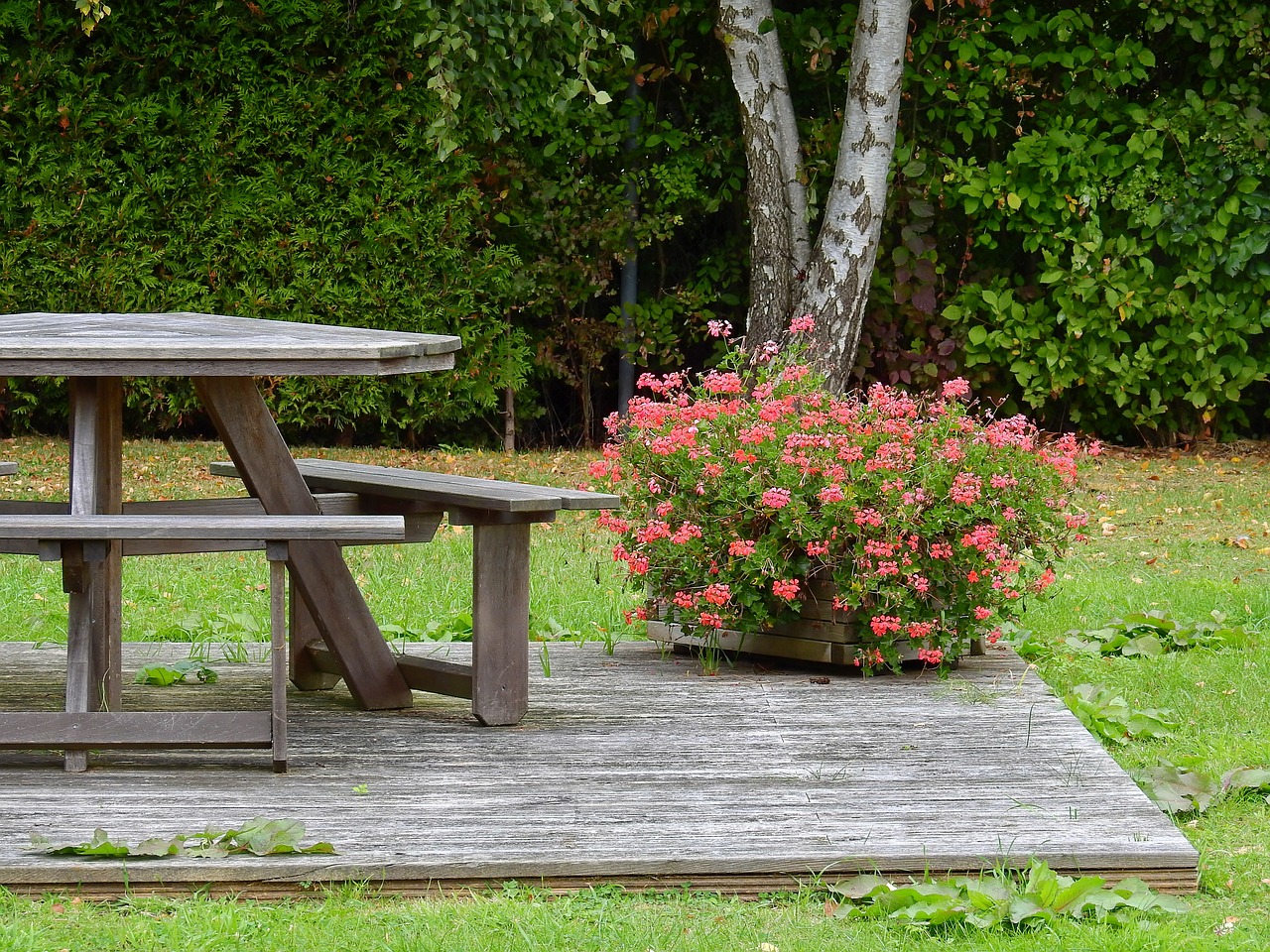 table flowers resting place free photo