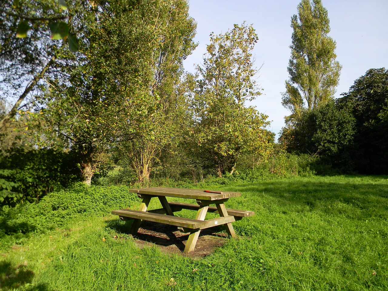 table field picnic table free photo