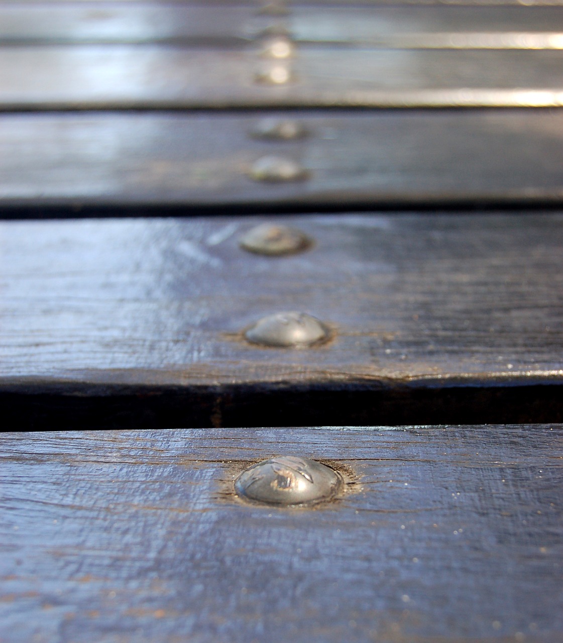 table camping close up free photo