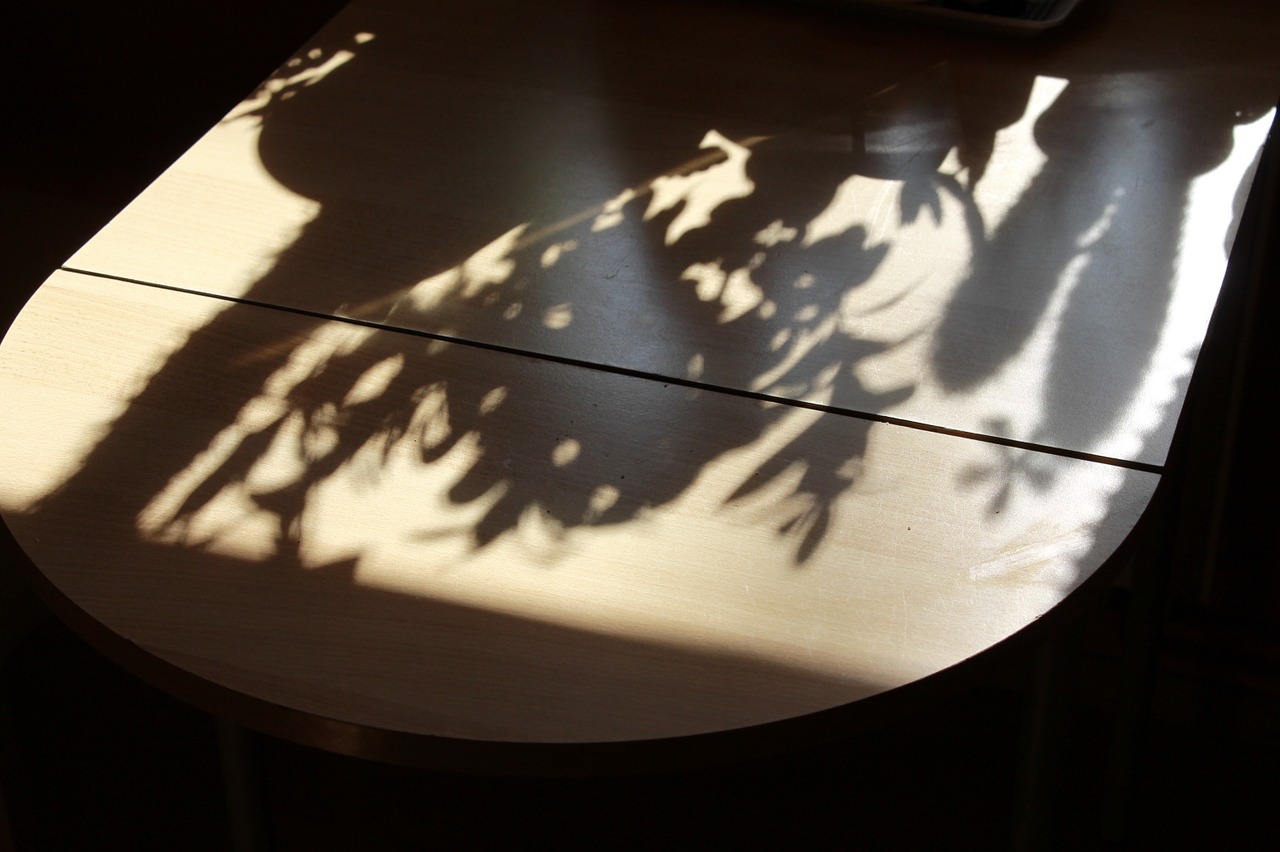 table shadow hispanic free photo