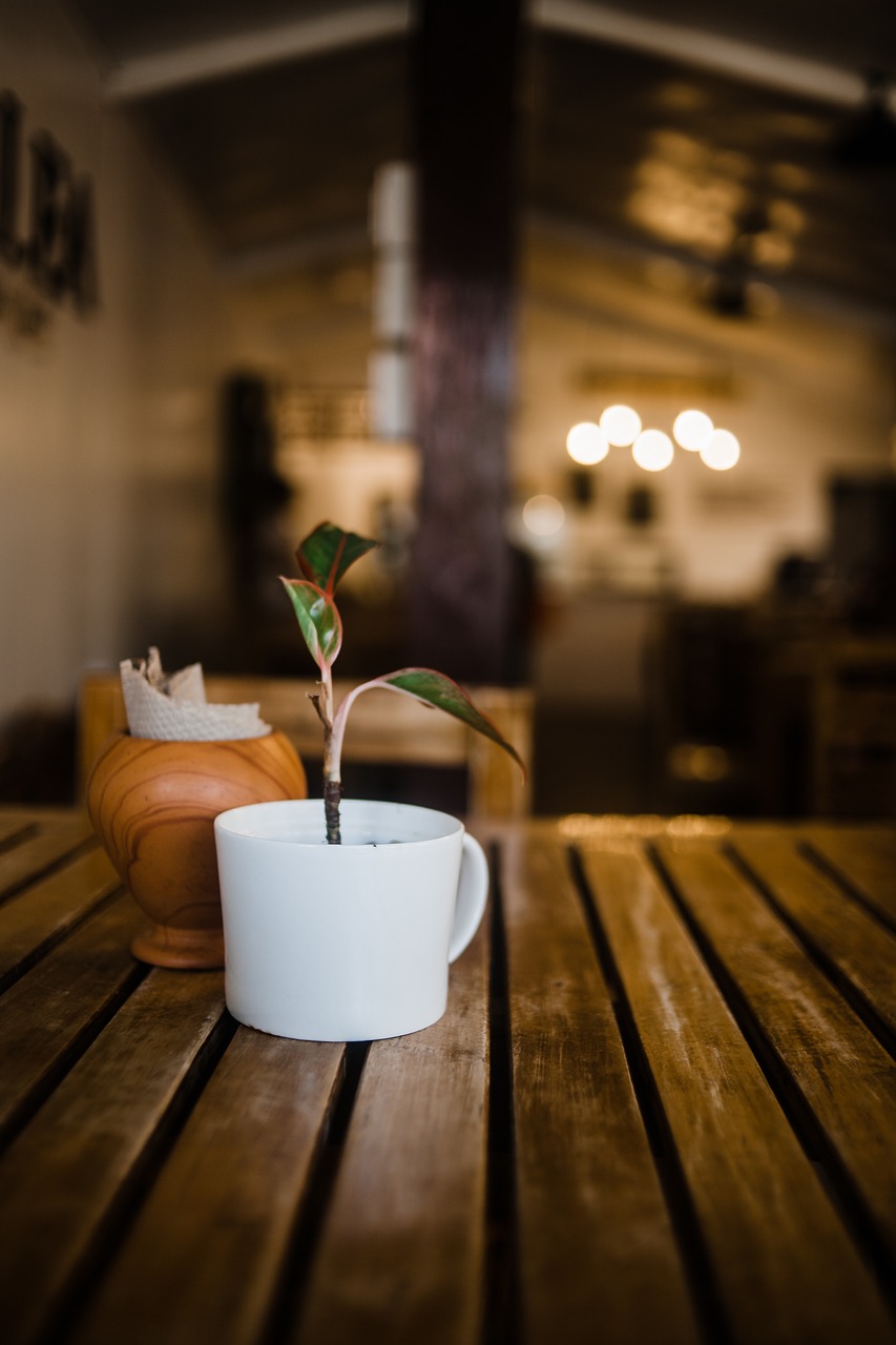 table  brown  cup free photo