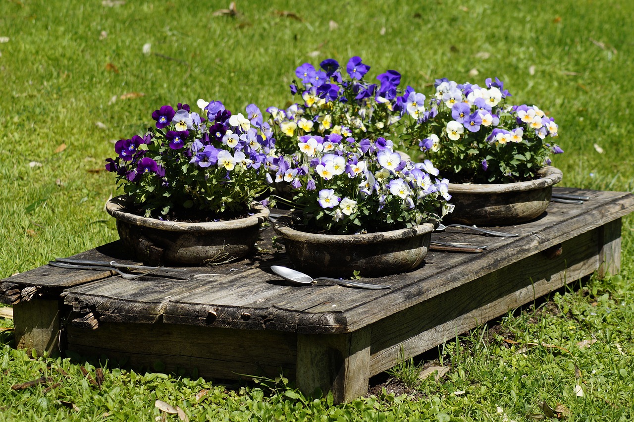 table  nature  flowers free photo