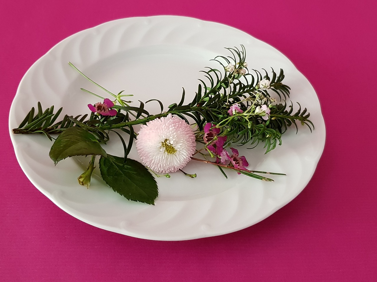 table decoration flower belli pink free photo