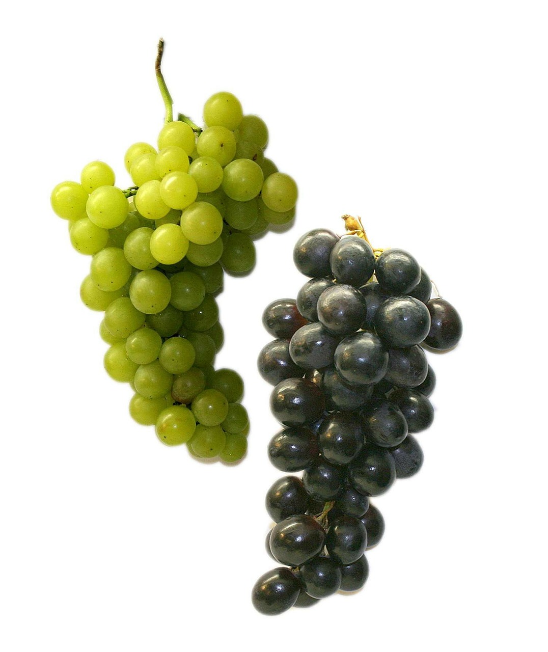 table grapes grapes fruit free photo