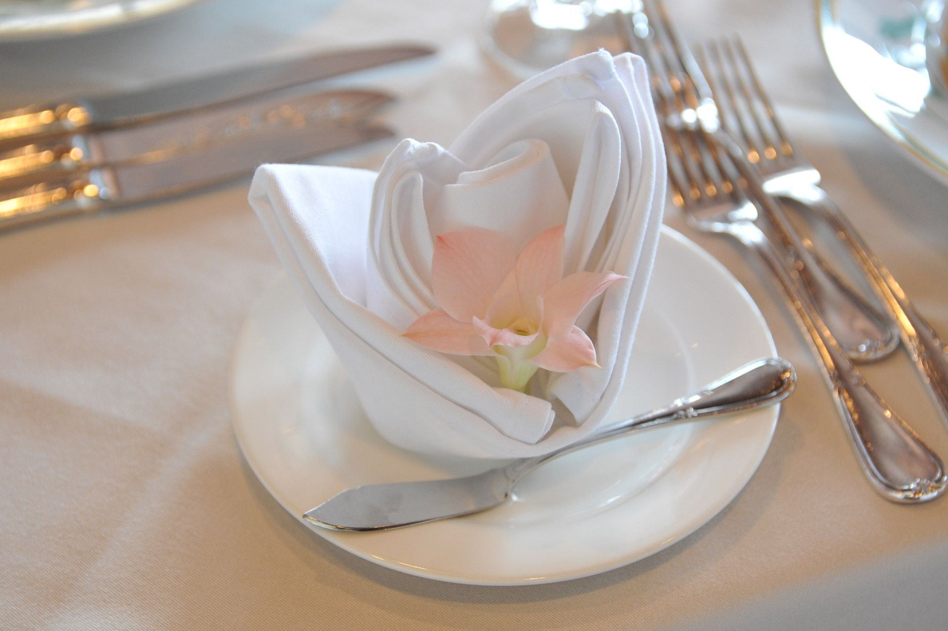 napkin flower table set free photo