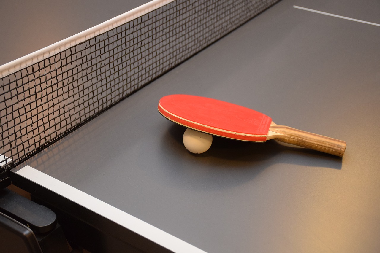 table tenis  ping pong  table free photo