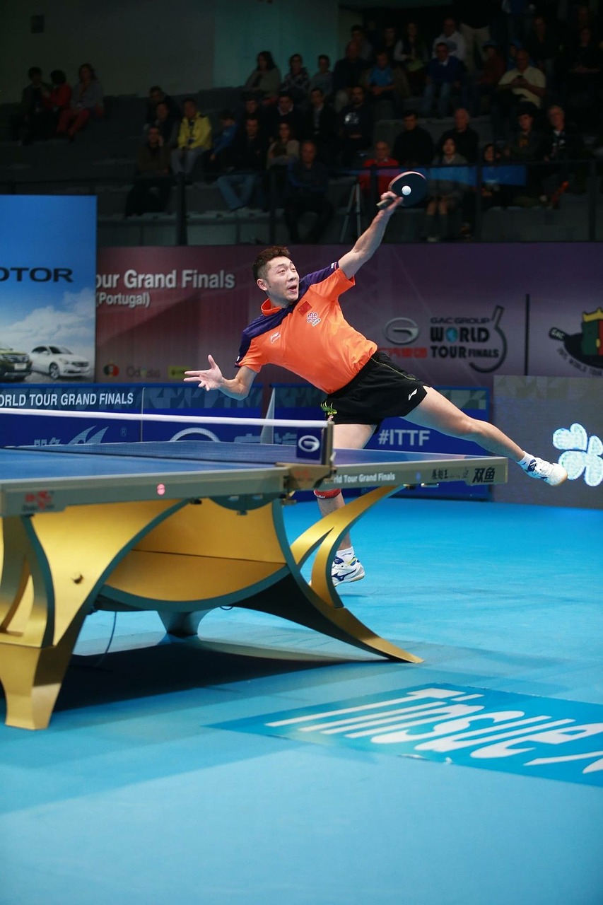 table tennis ping pong passion free photo
