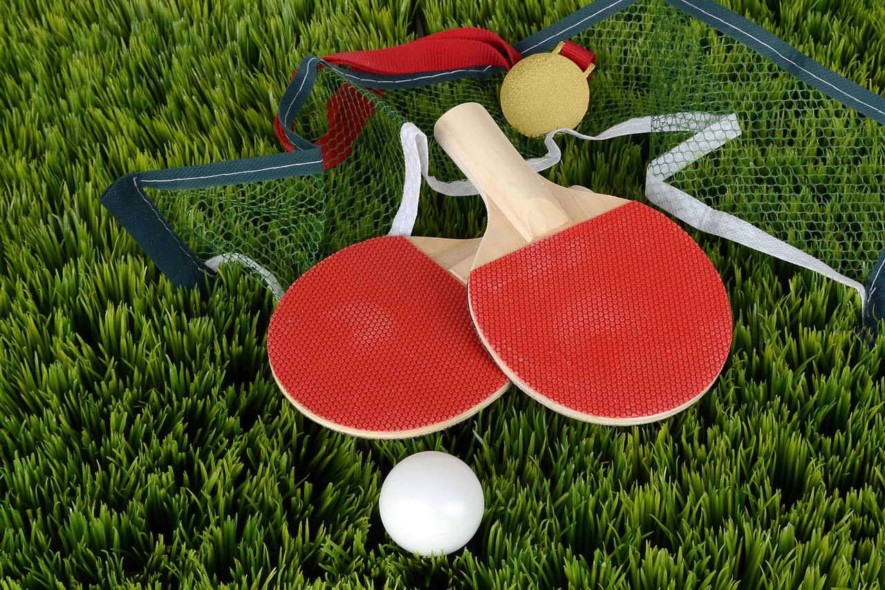 Download Free Photo Of Table Tennis Ping Pong Bat Table Tennis Bat Sport From Needpix Com