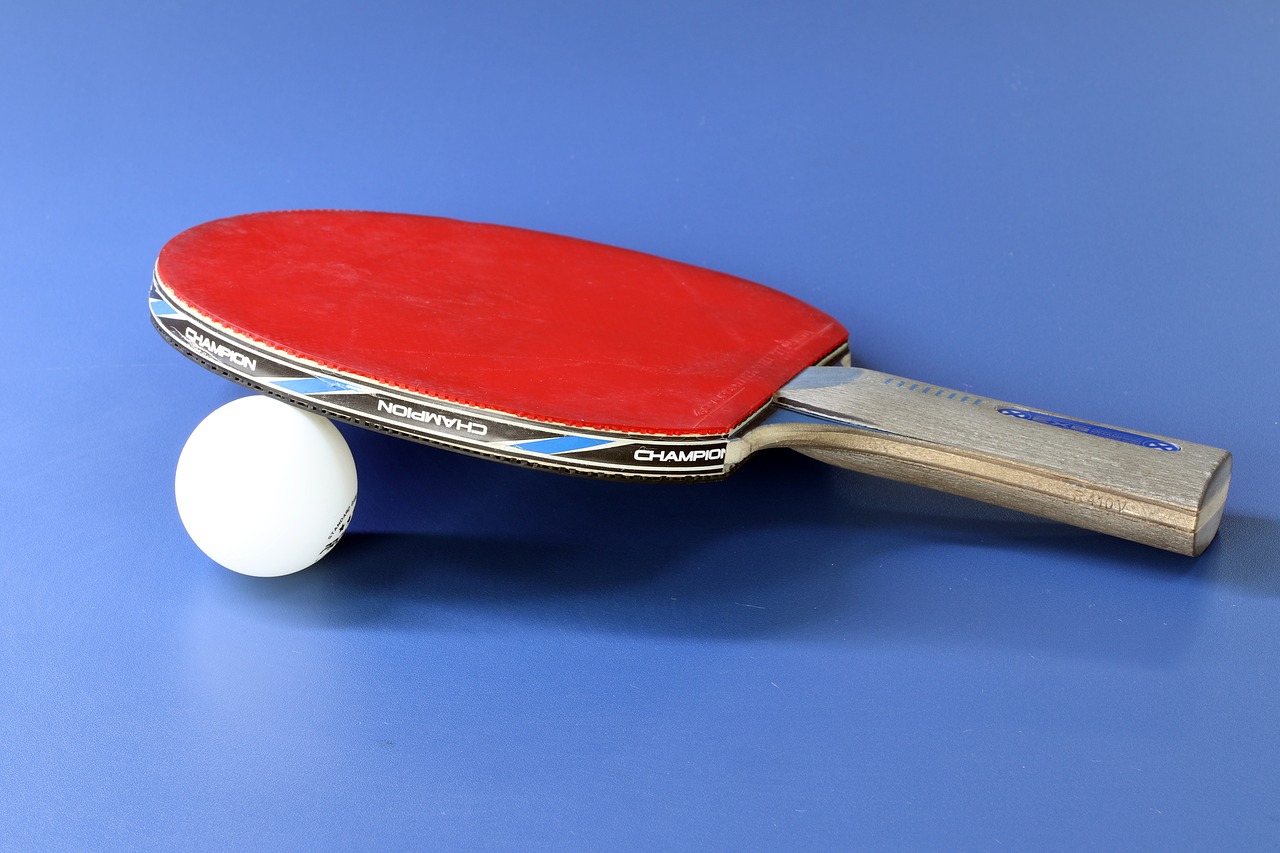 table tennis  sport  games free photo