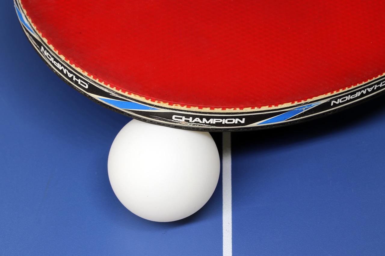 table tennis  sport  games free photo