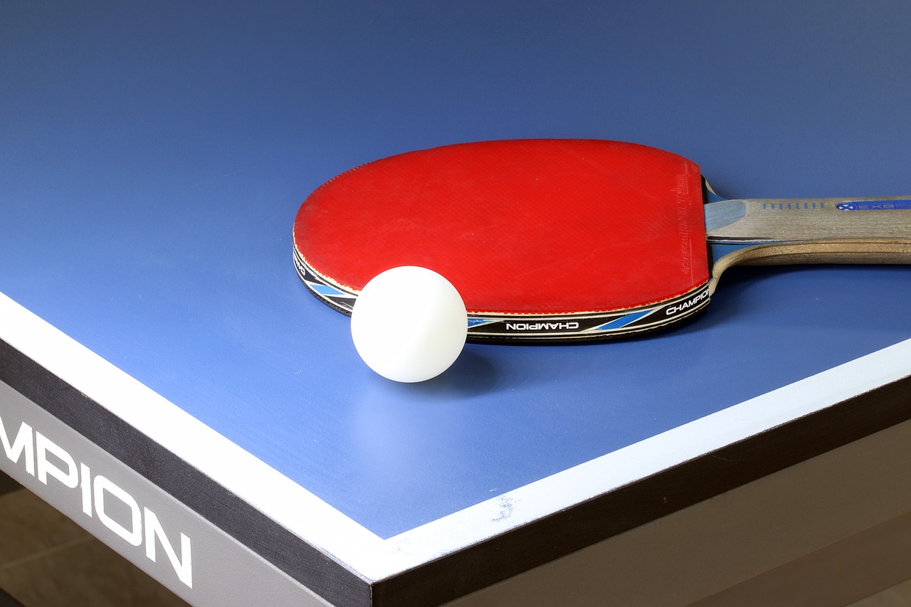 table tennis  sport  games free photo
