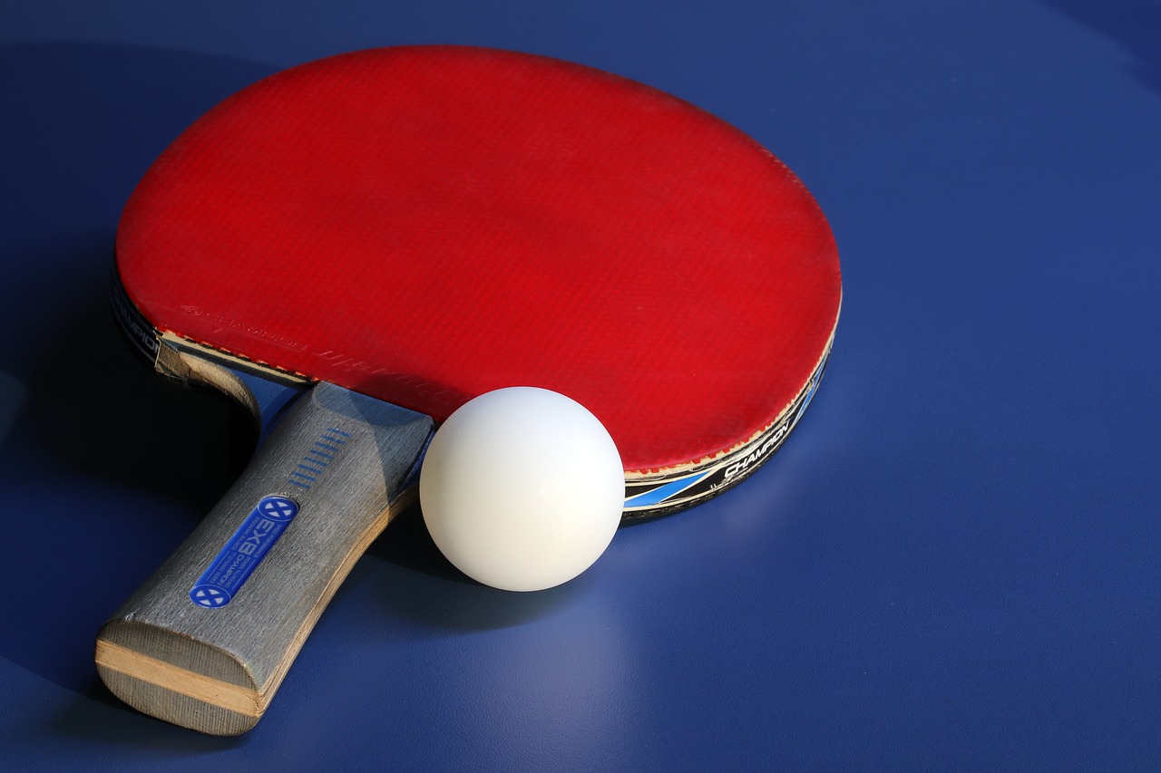 table tennis  sport  games free photo