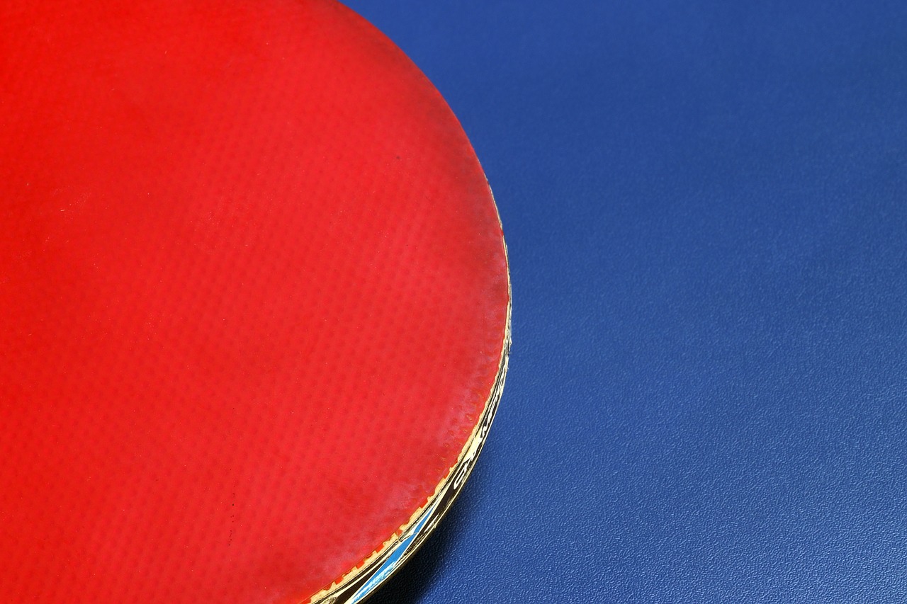 table tennis  ping-pong ball  games free photo