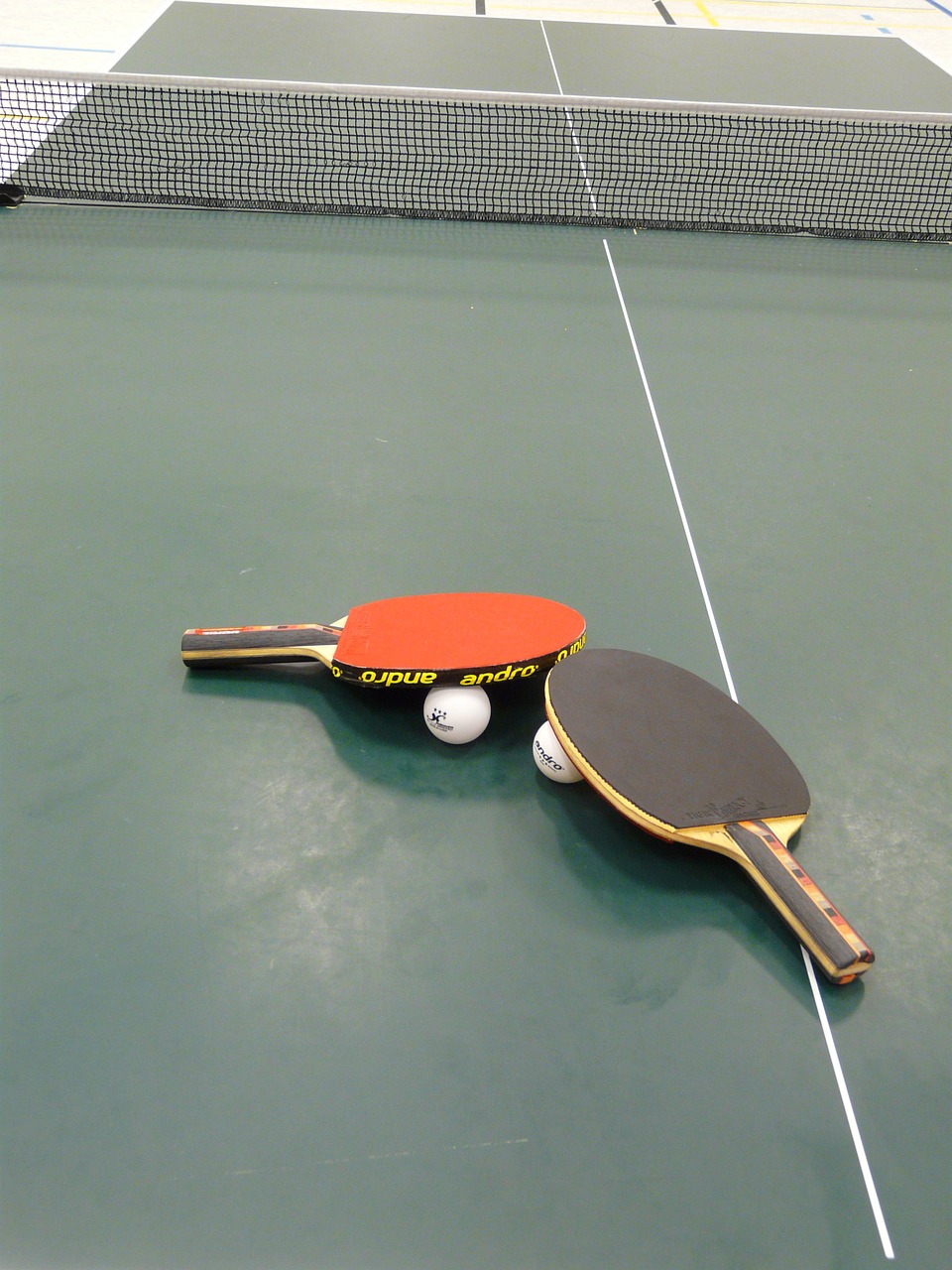 table tennis ping-pong bat free photo