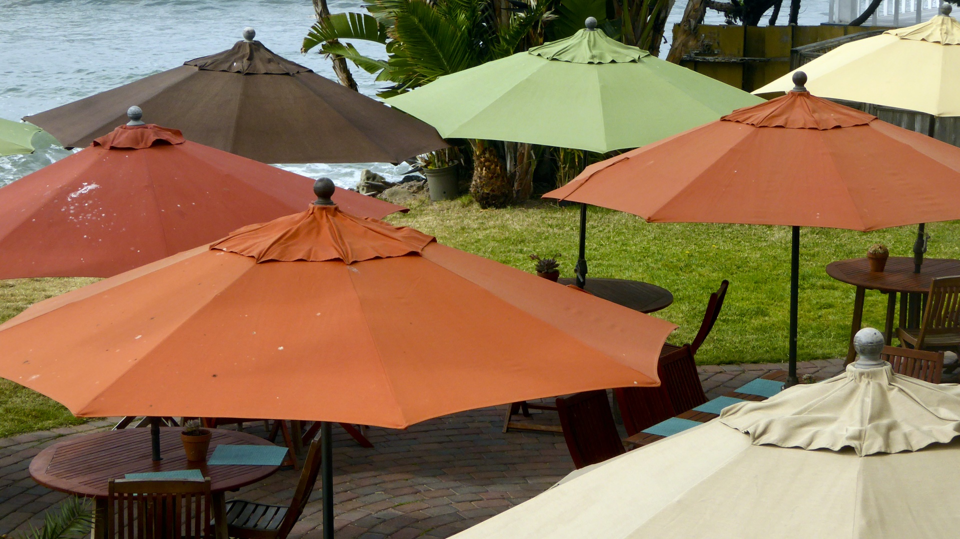 umbrella umbrellas dining free photo
