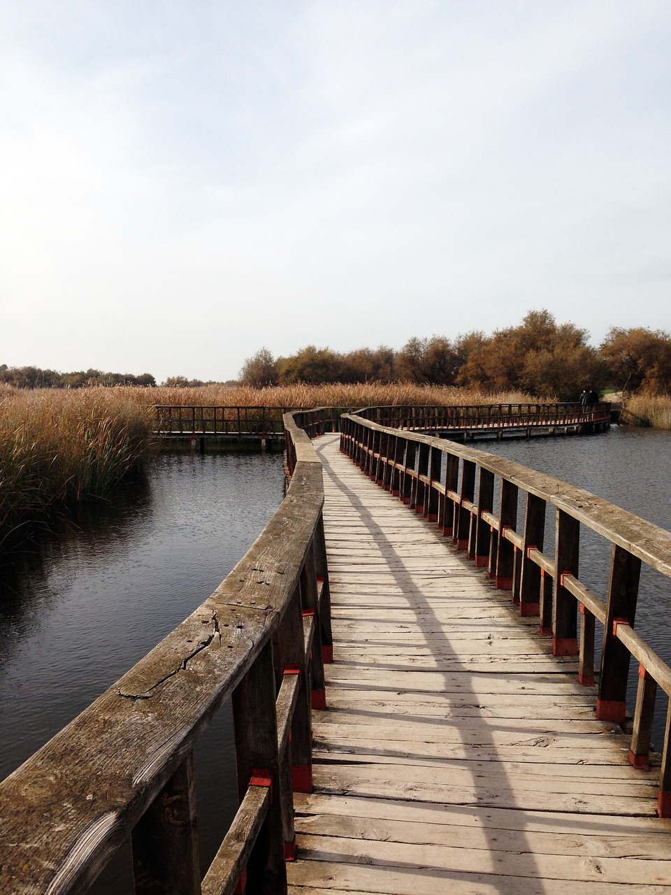 tables daimiel natural park nature reserve free photo