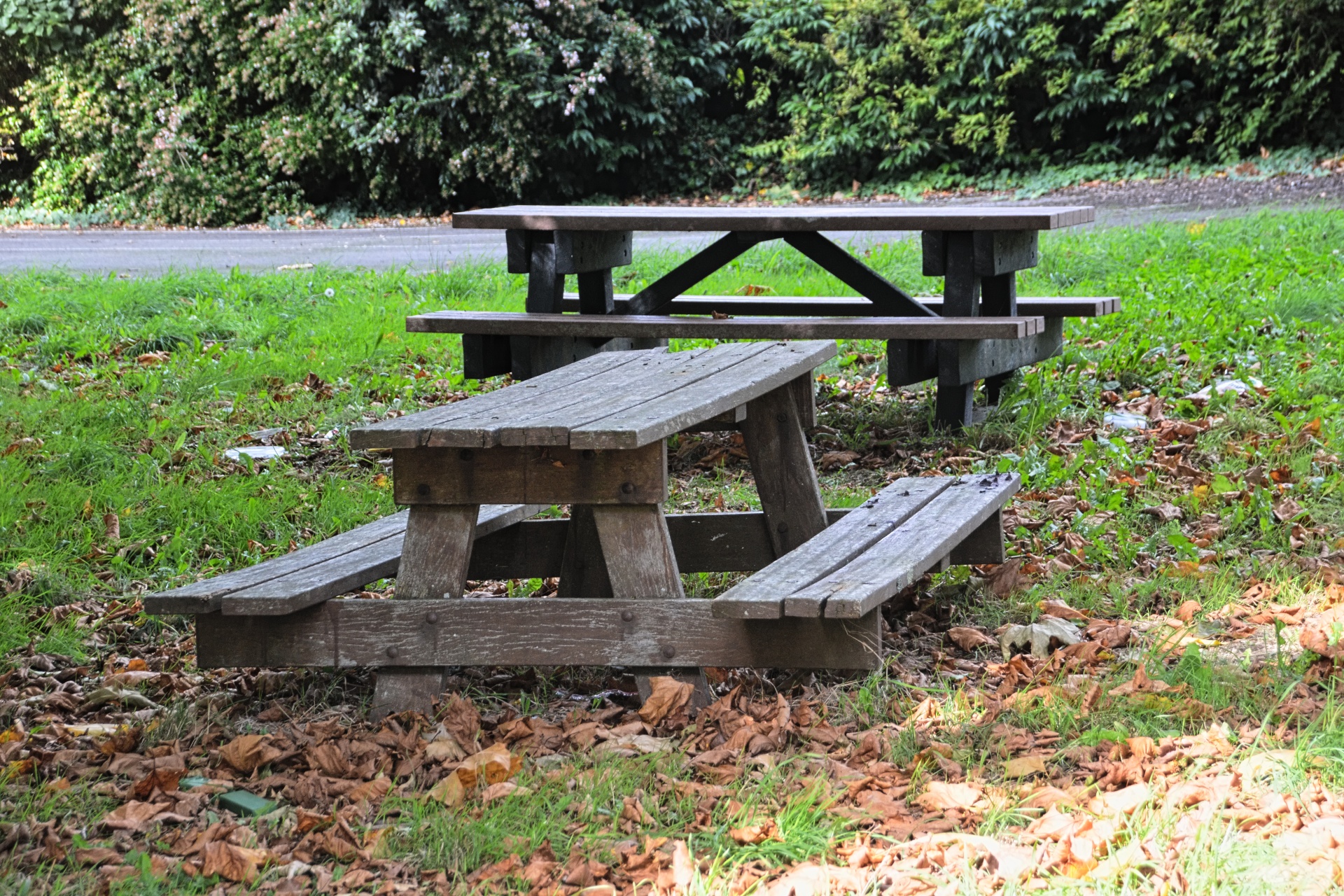 tables benches picnic free photo