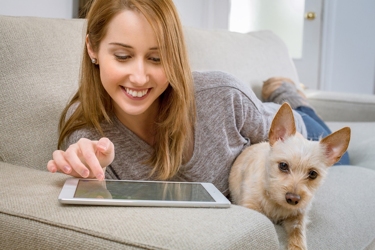 tablet living room dog free photo