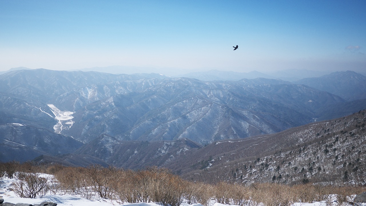 taebaek top mountain free photo