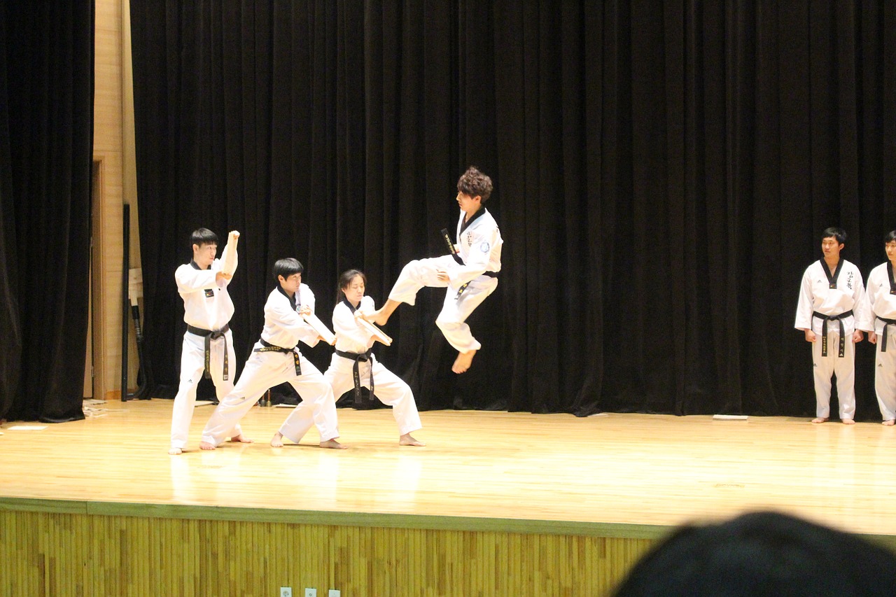 taekwondo kick jump free photo