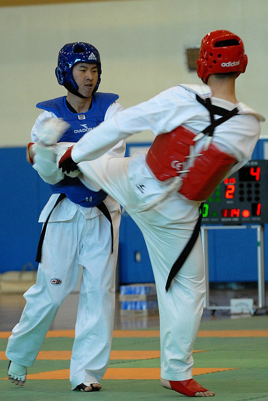 taekwondo sport competition free photo