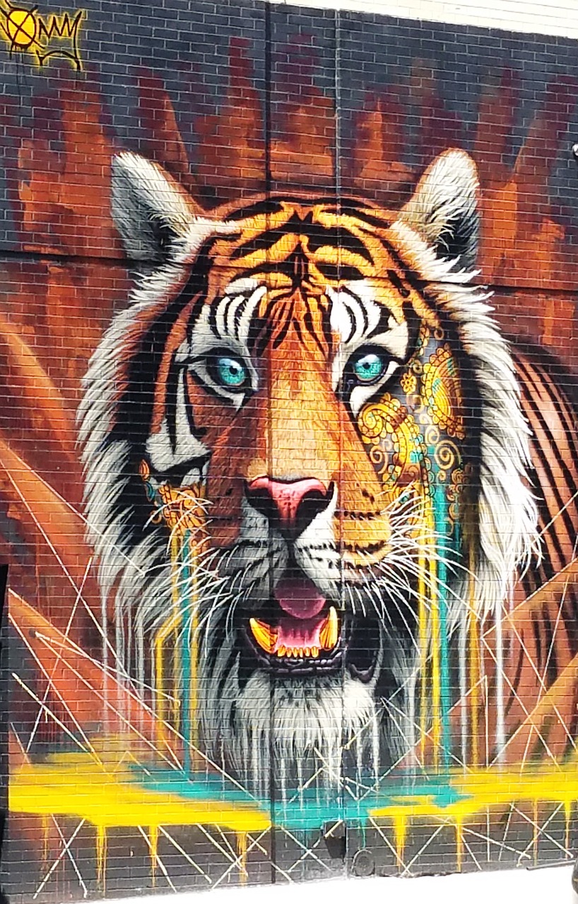 tags tiger graphics free photo
