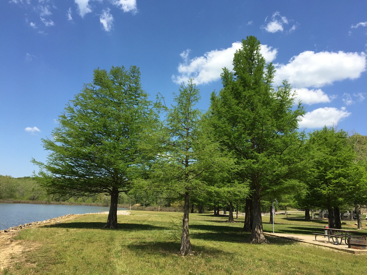 park green space outdoors free photo