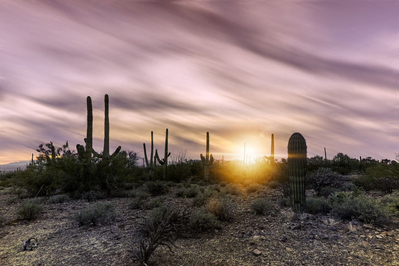 tagsnature arizona sky free photo