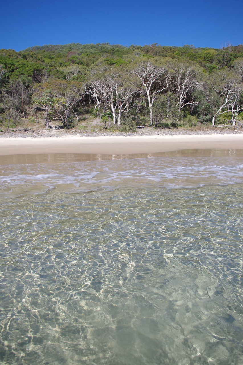 tagsocean beach australia free photo