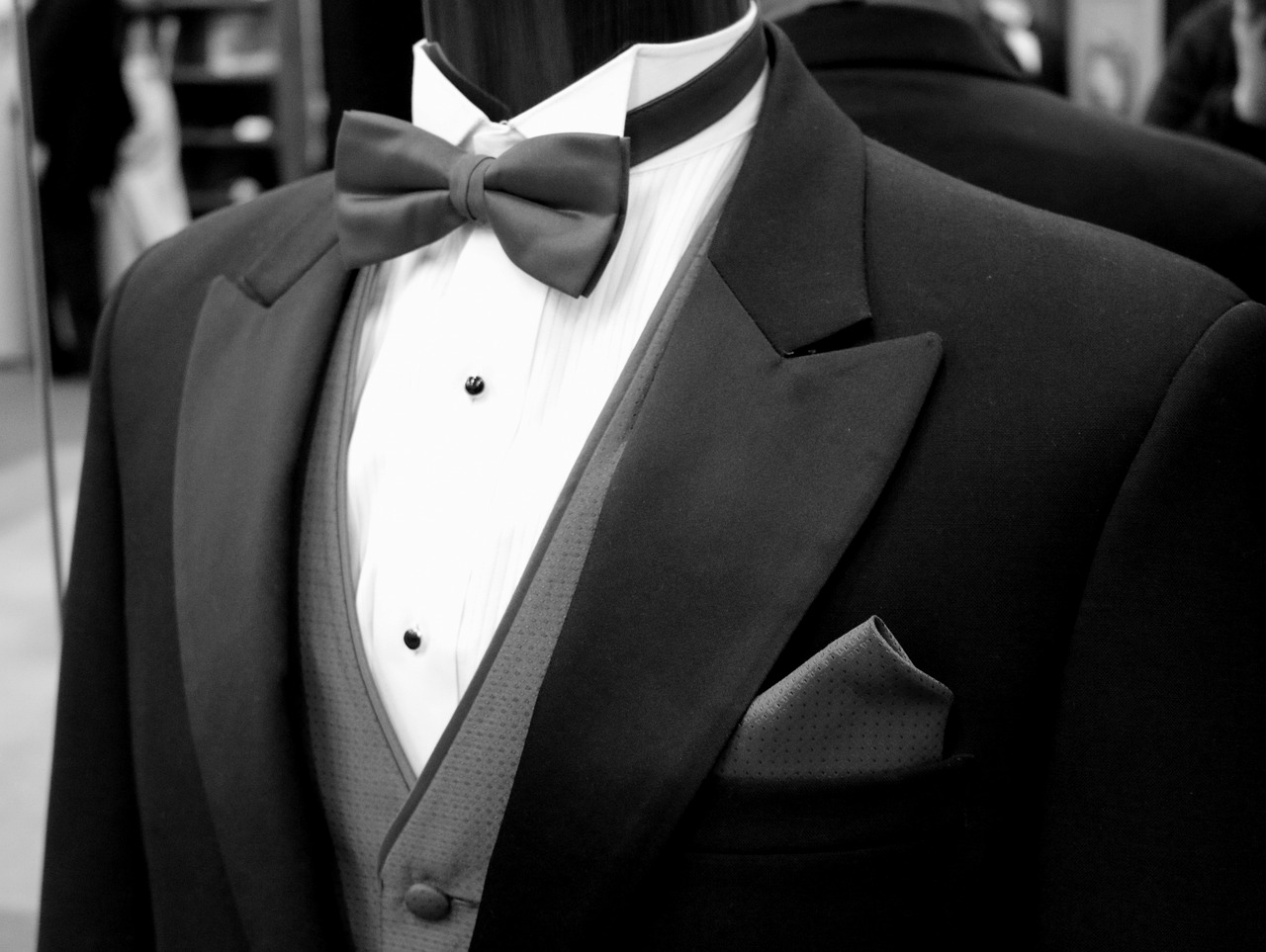 tailor bow tie tie free photo