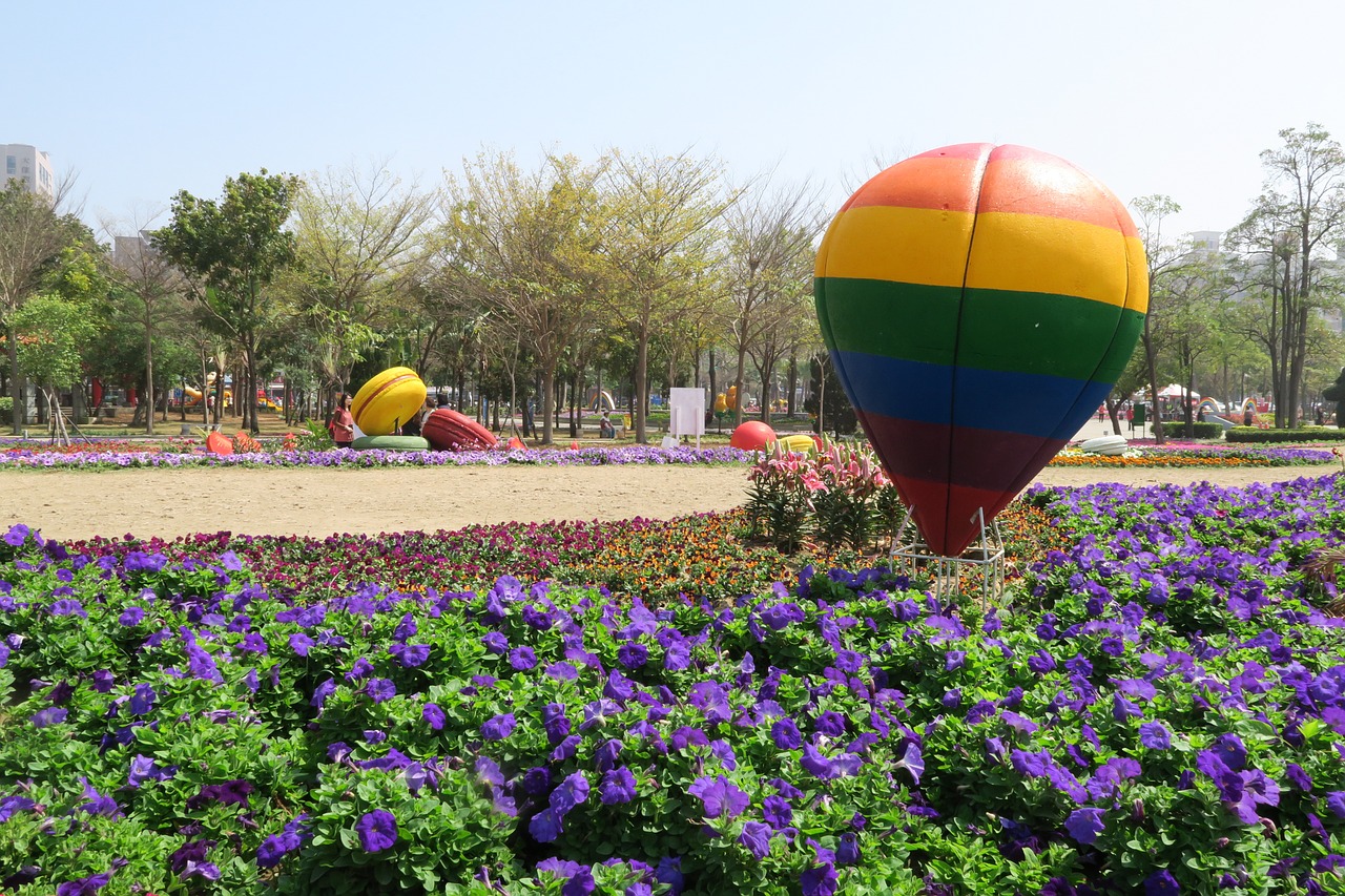 tainan's flowers offering hot qi ball duckweed farm park free photo