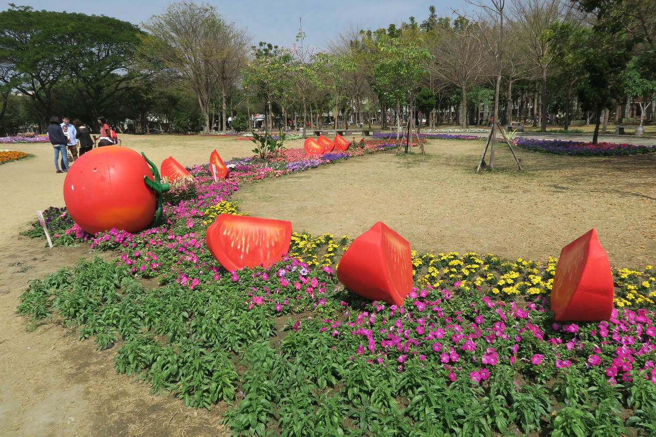 tainan's flowers offering tomato duckweed farm park free photo