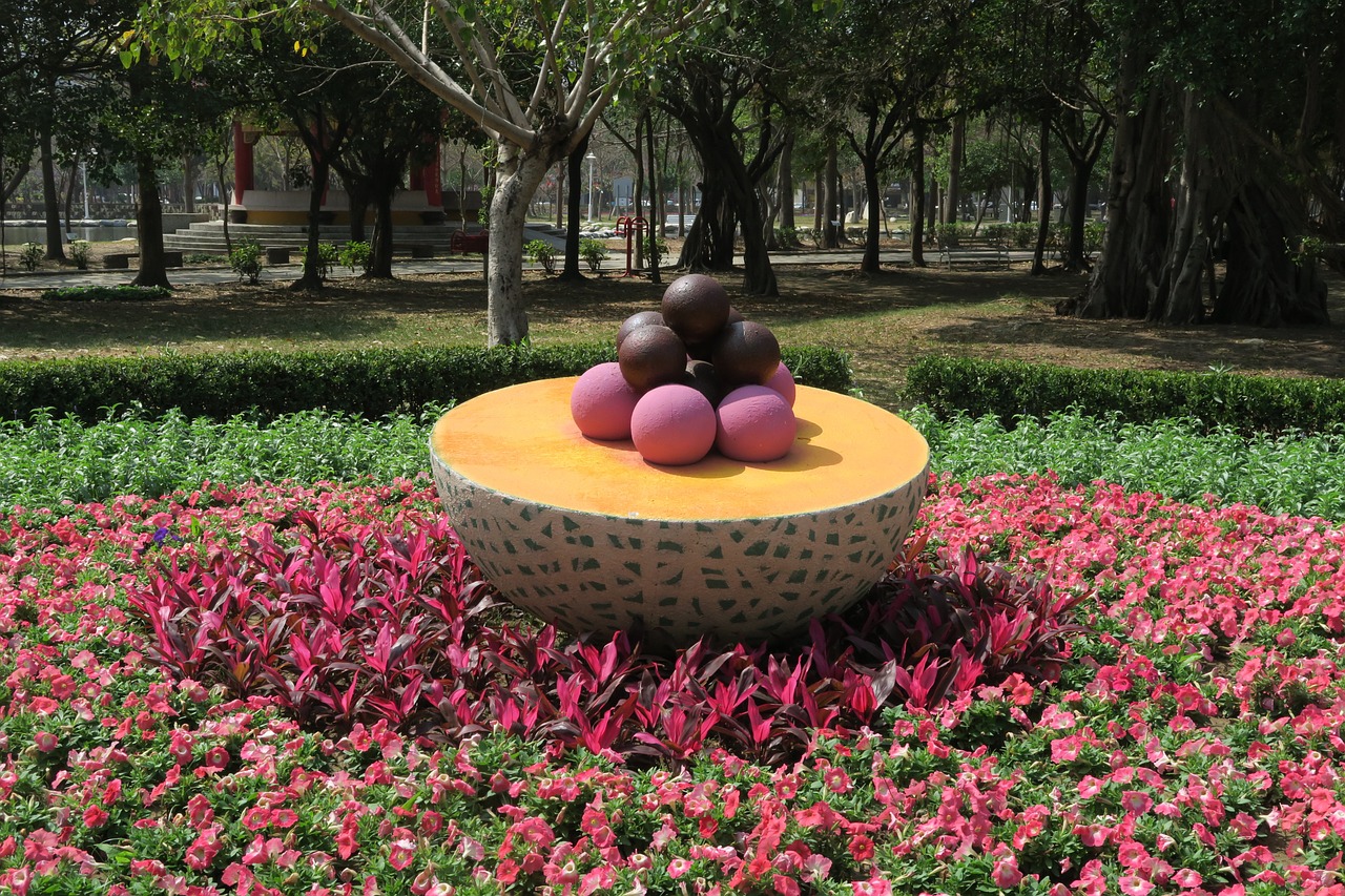 tainan's flowers offering fruit duckweed farm park free photo