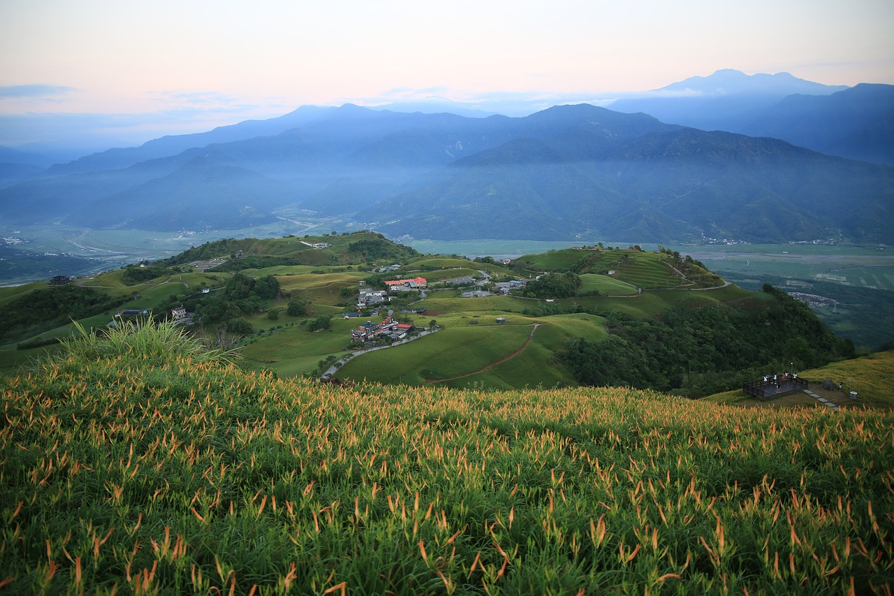 taiwan little switzerland flower free photo