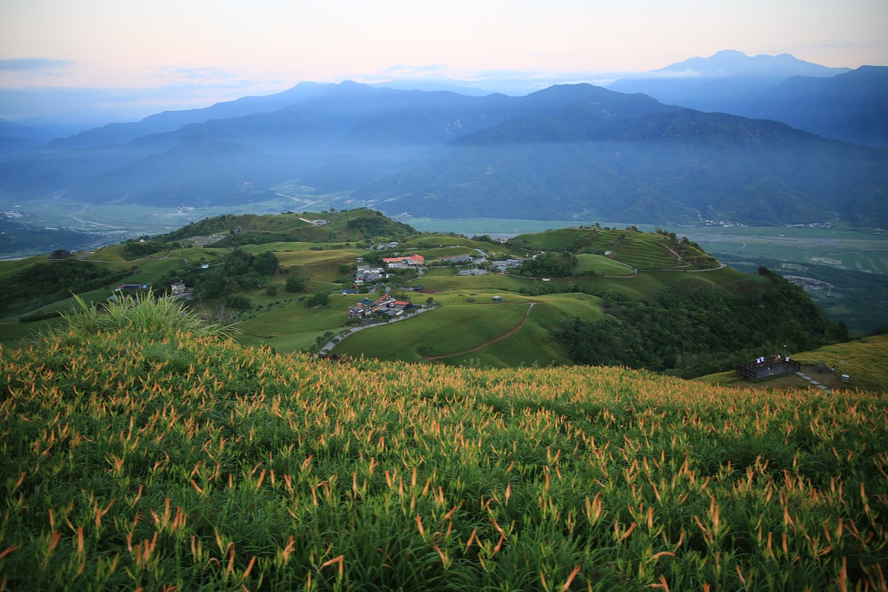 taiwan little switzerland flower free photo