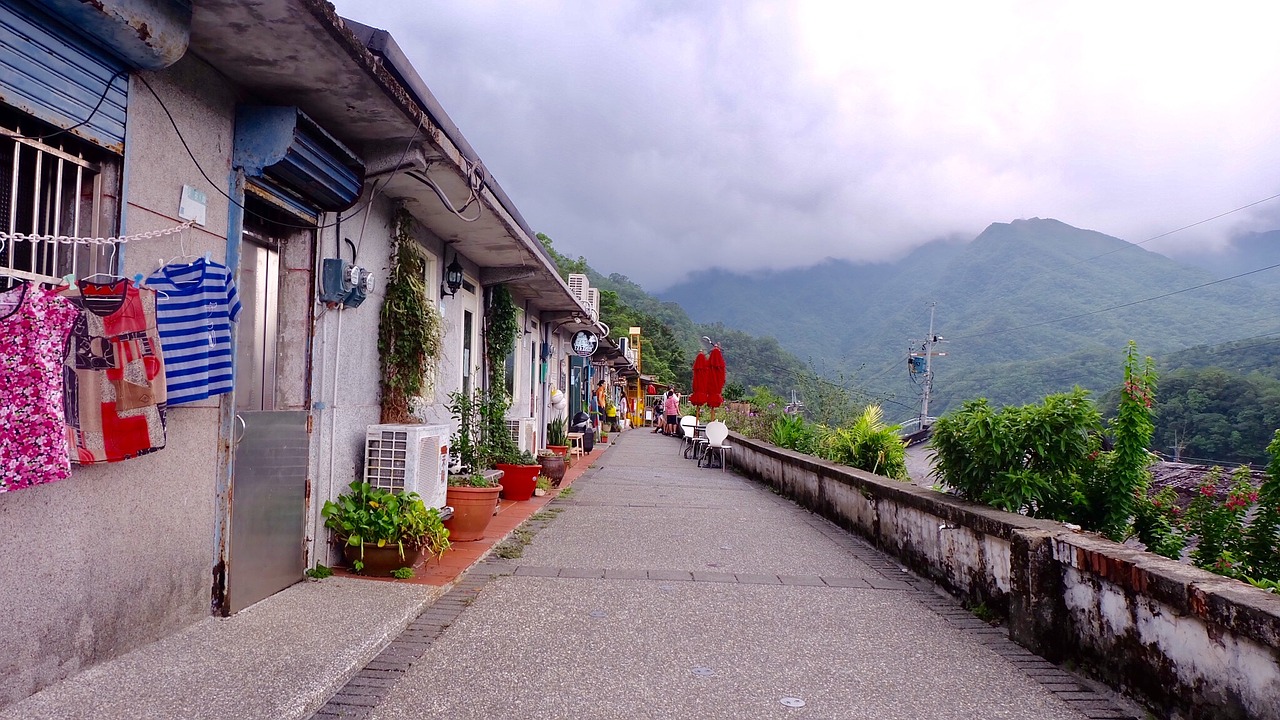 taiwan cat village mountain free photo