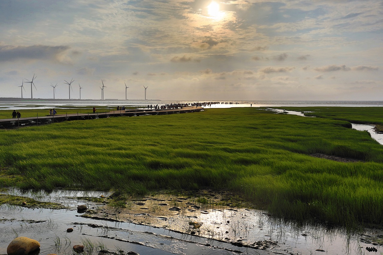 taiwan scenic views green free photo