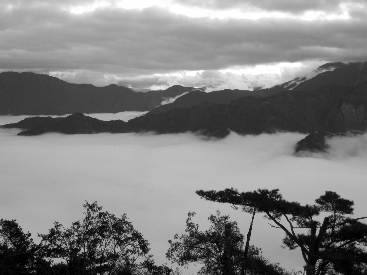 taiwan alishan clouds below free photo